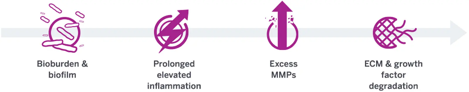 BIOBURDEN AND BIOFILM CAN DELAY HEALING