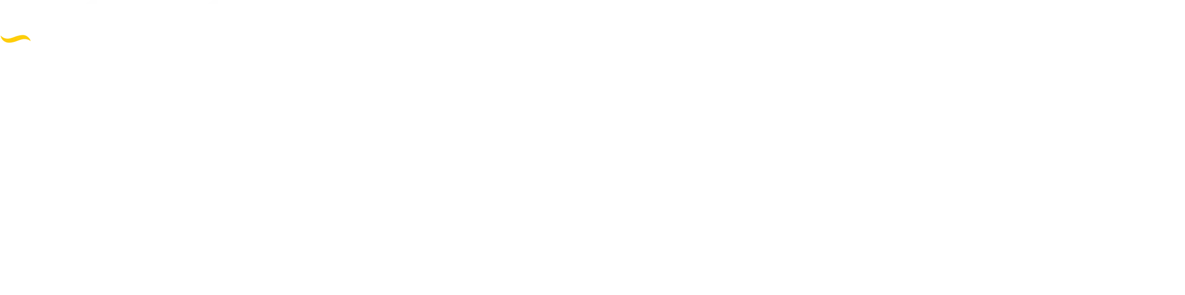 CYGNUS Dual. Dual-layered, Dehydrated Amnion Allograft