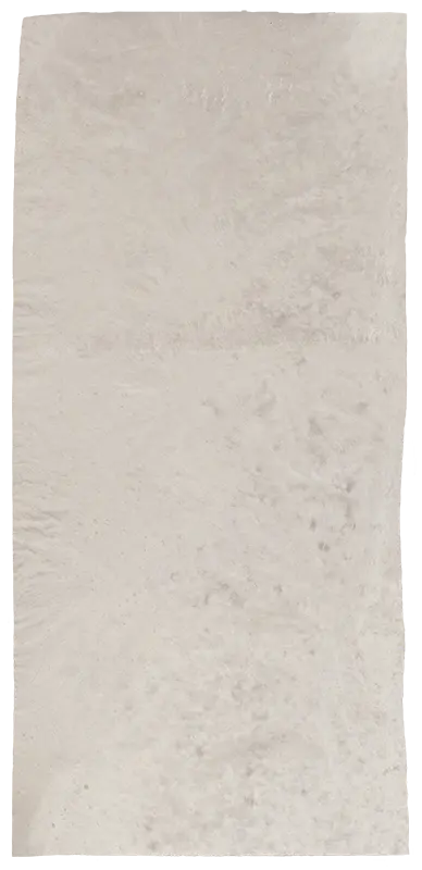 CYGNUS Dual. DUAL-LAYERED OMNI-DIRECTIONAL APPLICATION